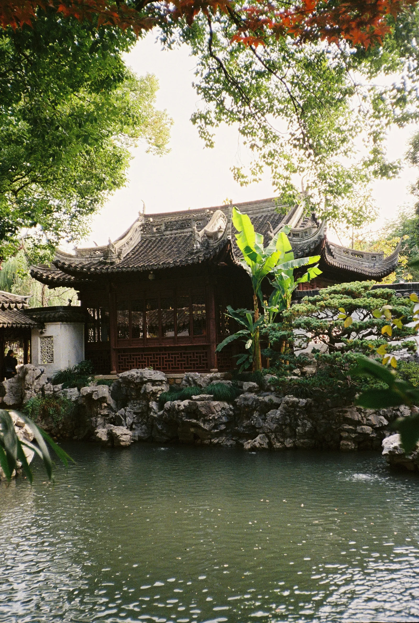 Sunlight, pond, rockery and a traditional pavilion inside Yu Garden
