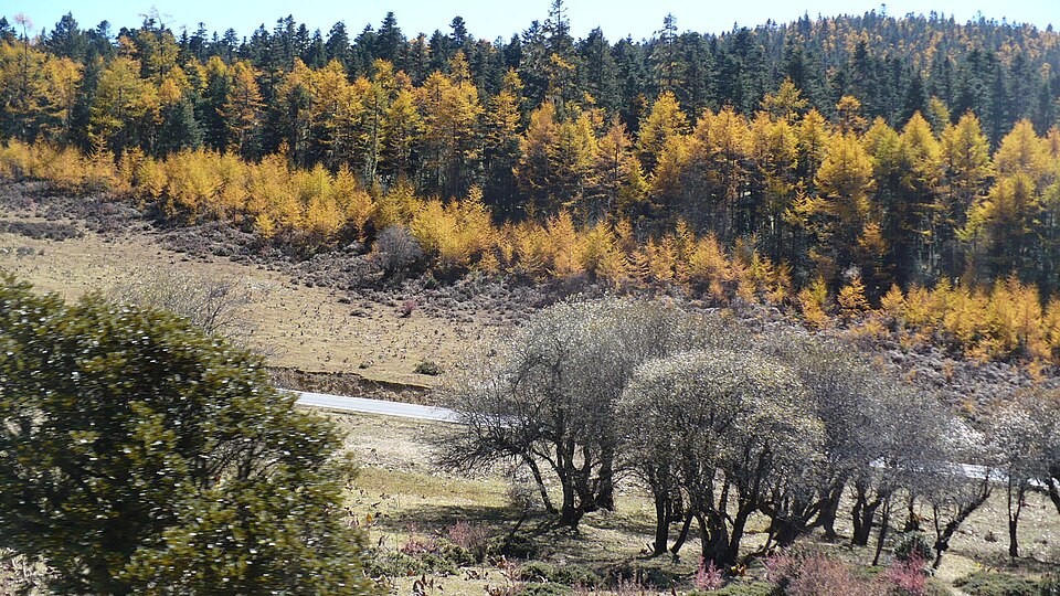 Highland landscape near Pudacuo in Shangri-La